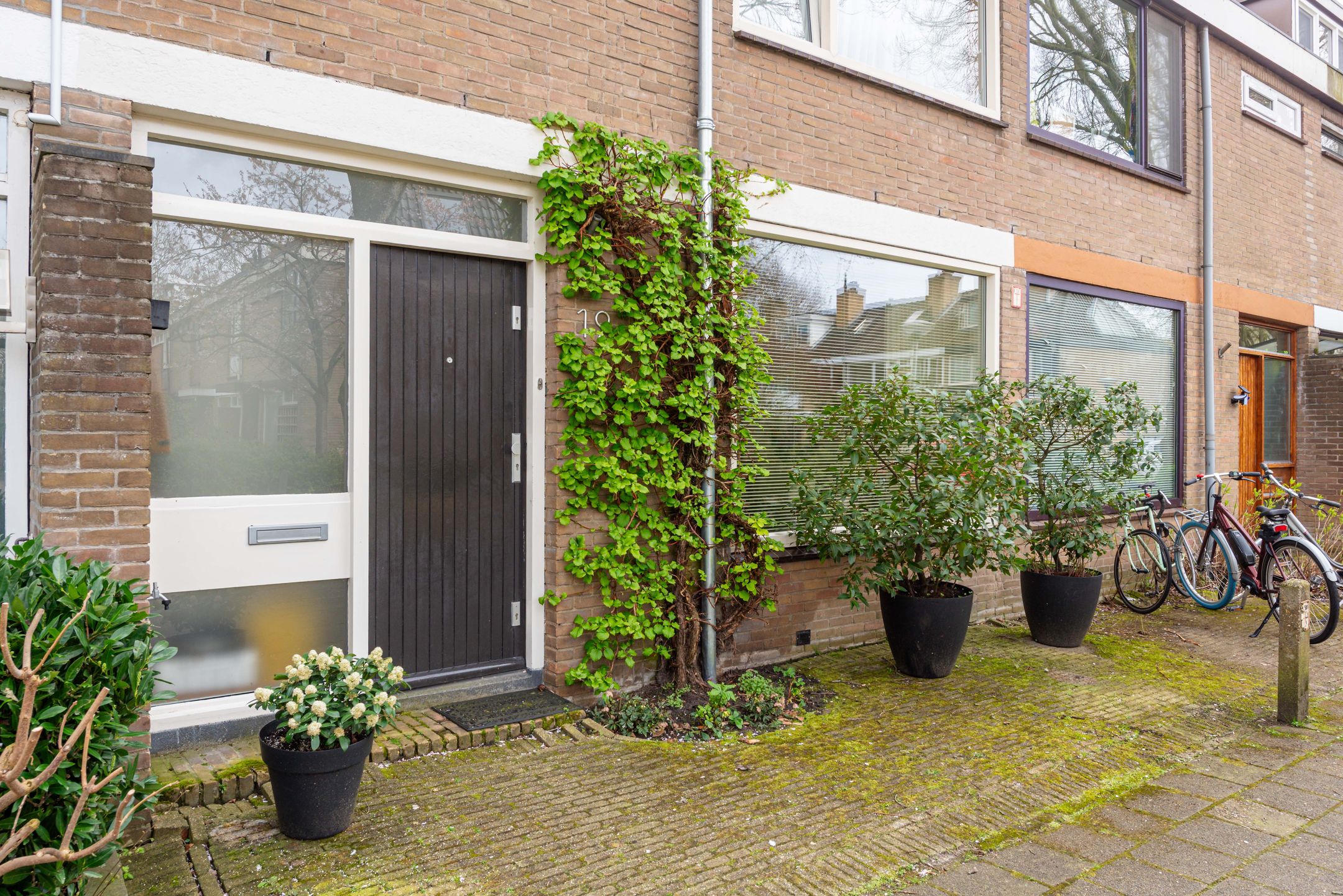 Foto 6 van Top Naefflaan 19