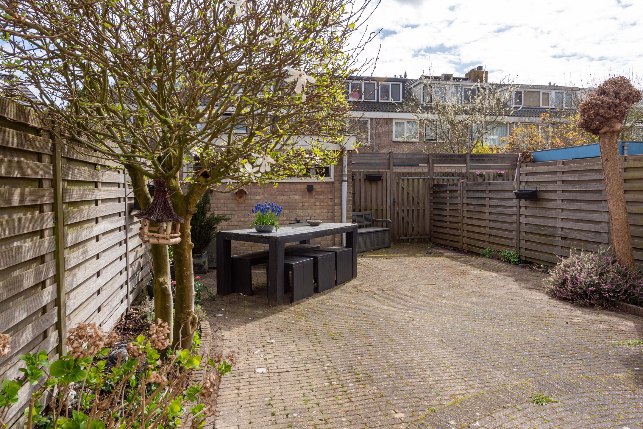 Foto 36 van Top Naefflaan 19