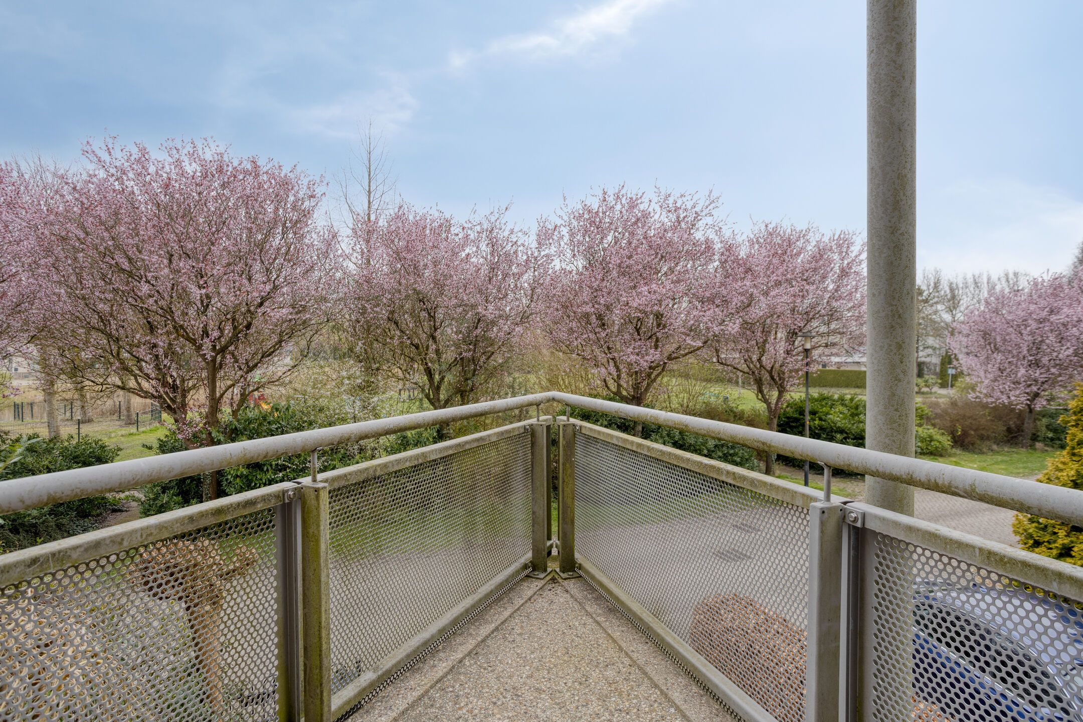 Photo 24 of Nijenburg 53