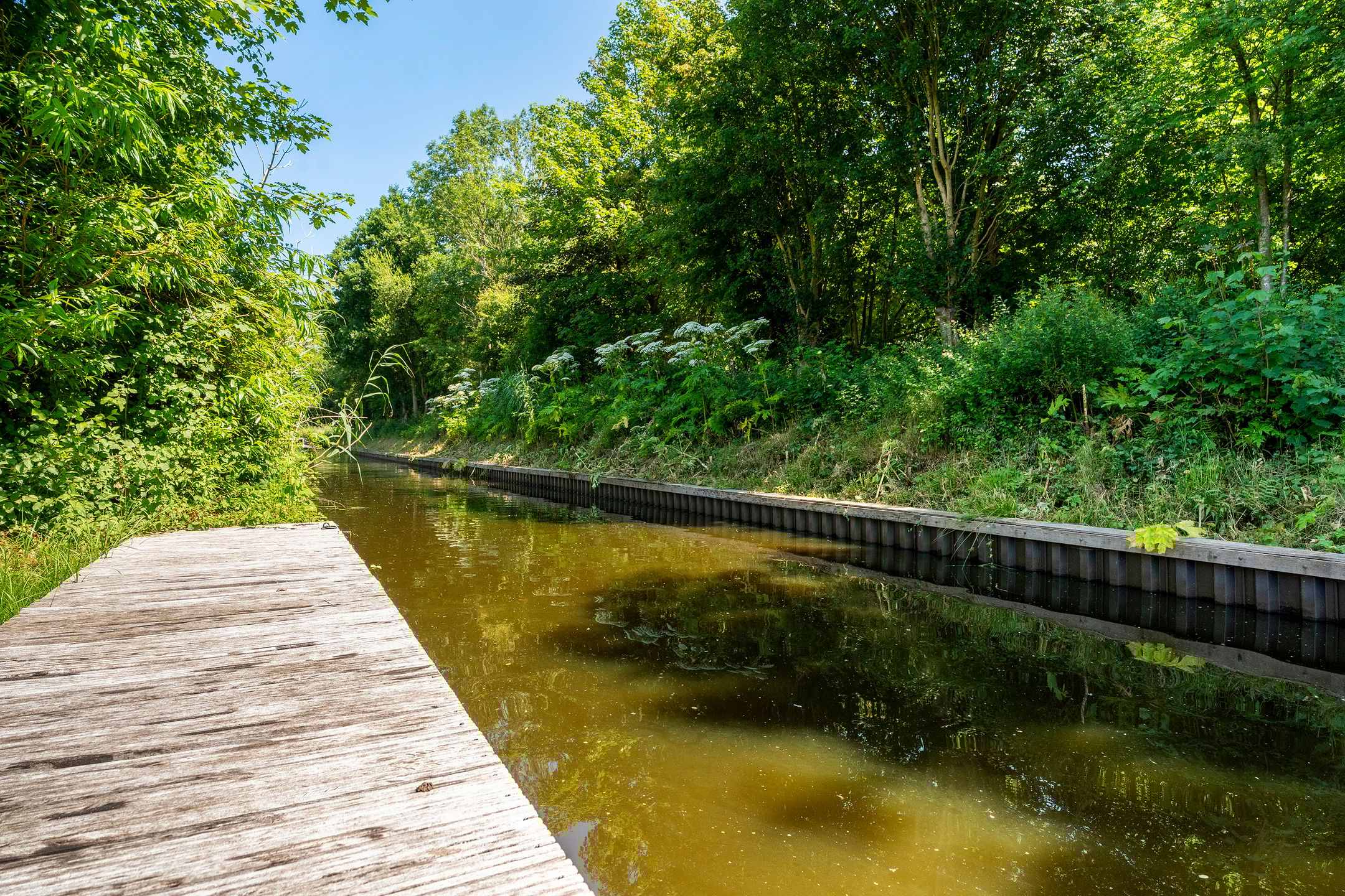 Photo 30 of Koaidyk 6-642