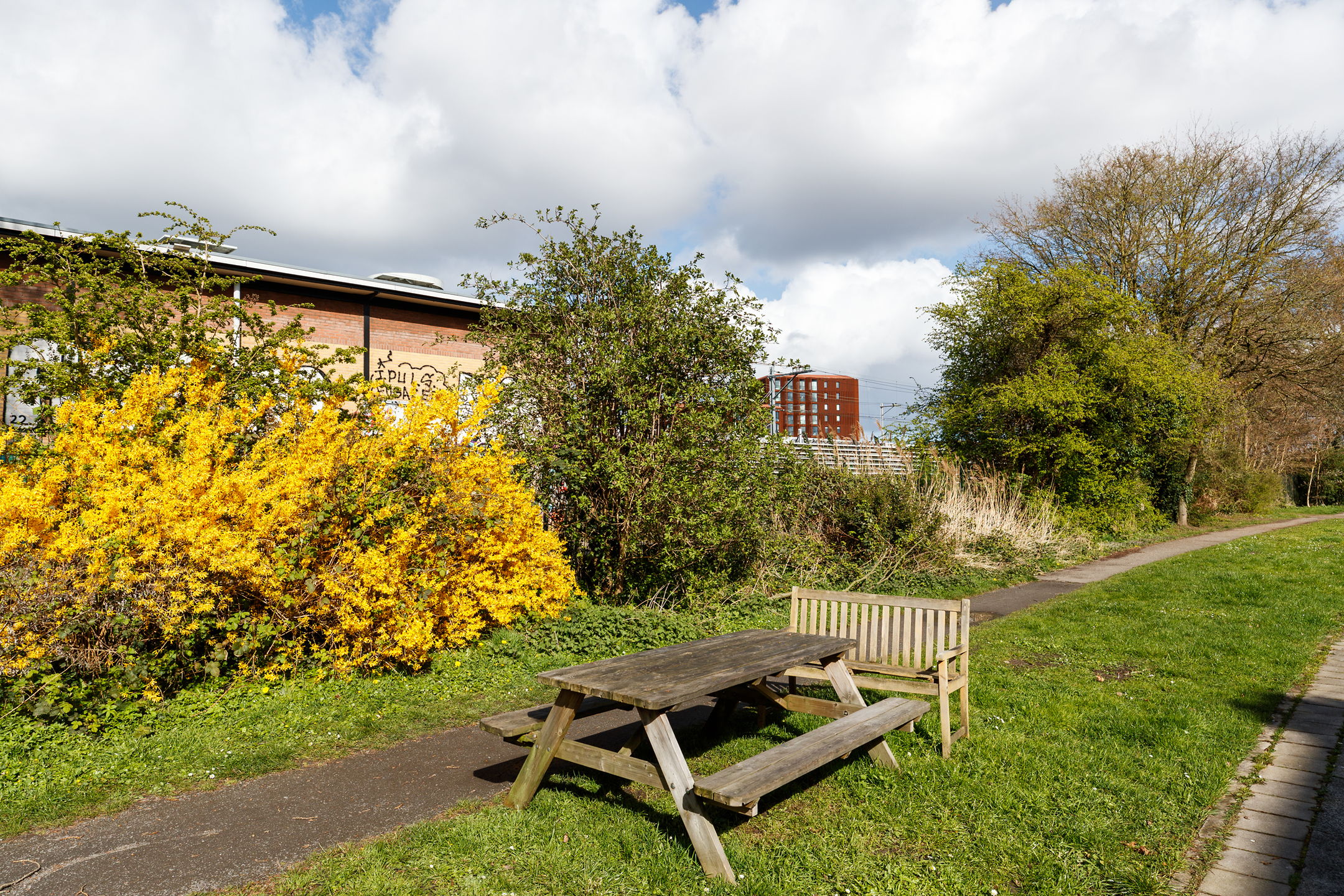 Photo 18 of Cremerstraat 166