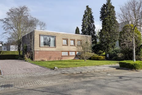 Kastanjelaan thumbnail