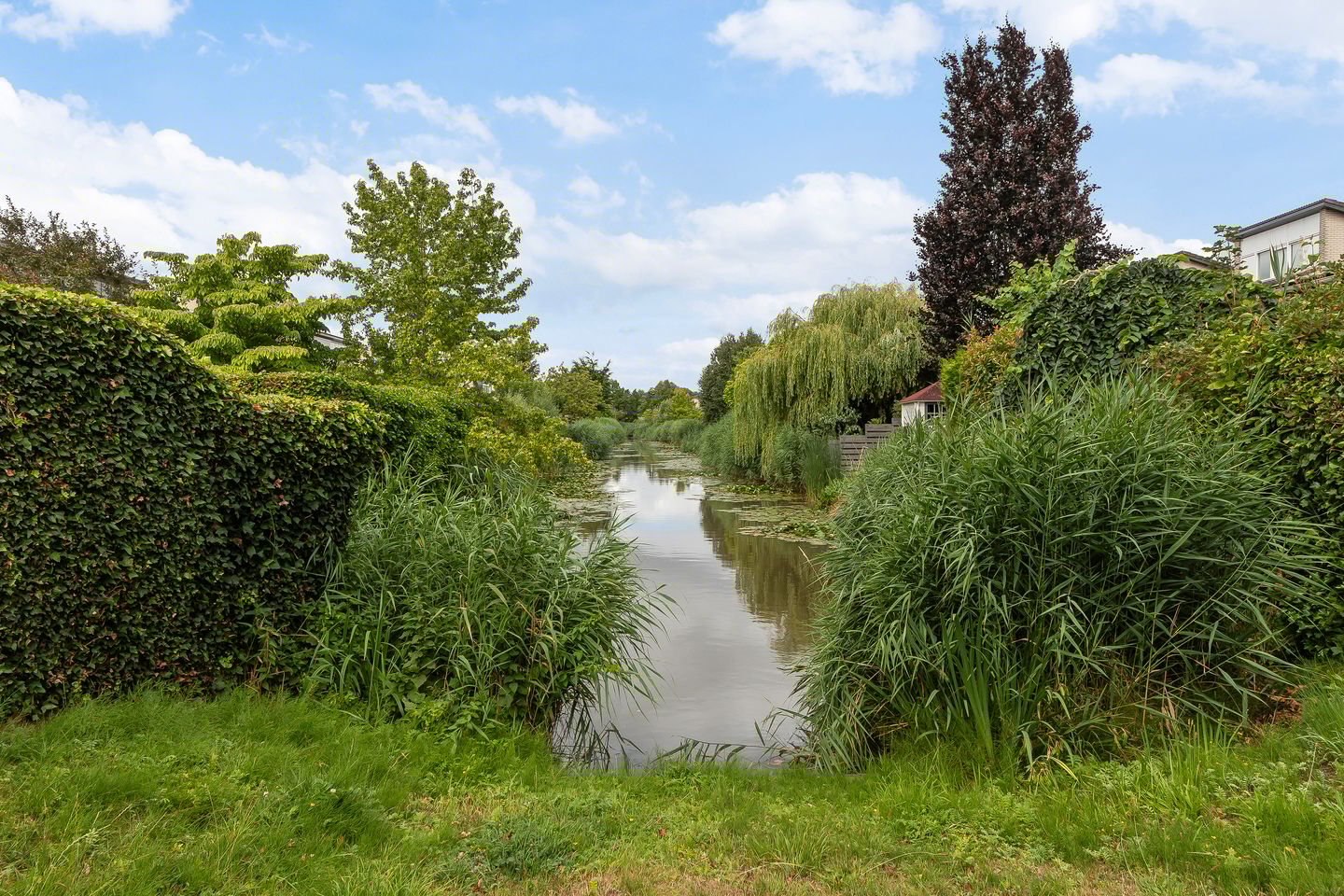 Foto 55 van Langedaal 150