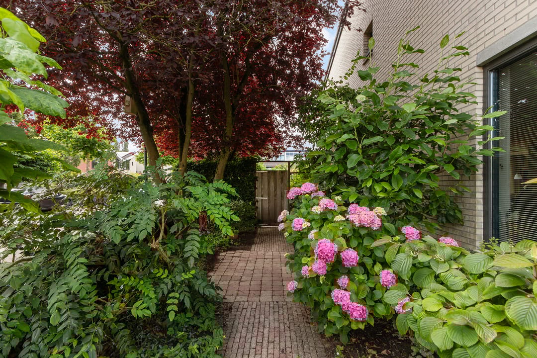 Foto 8 van Langedaal 150