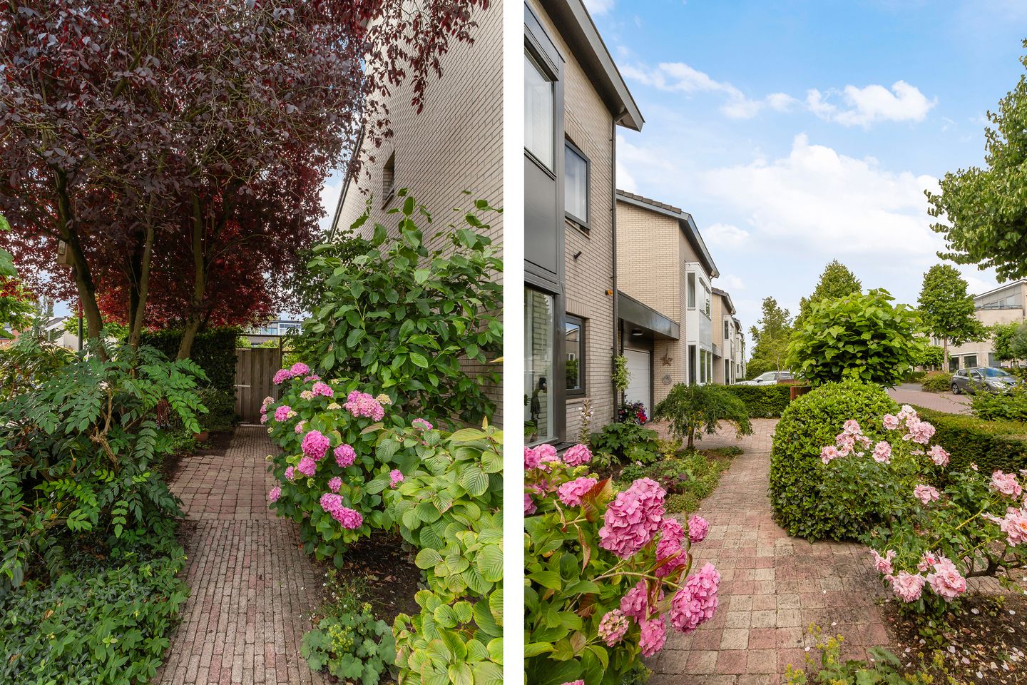 Foto 59 van Langedaal 150