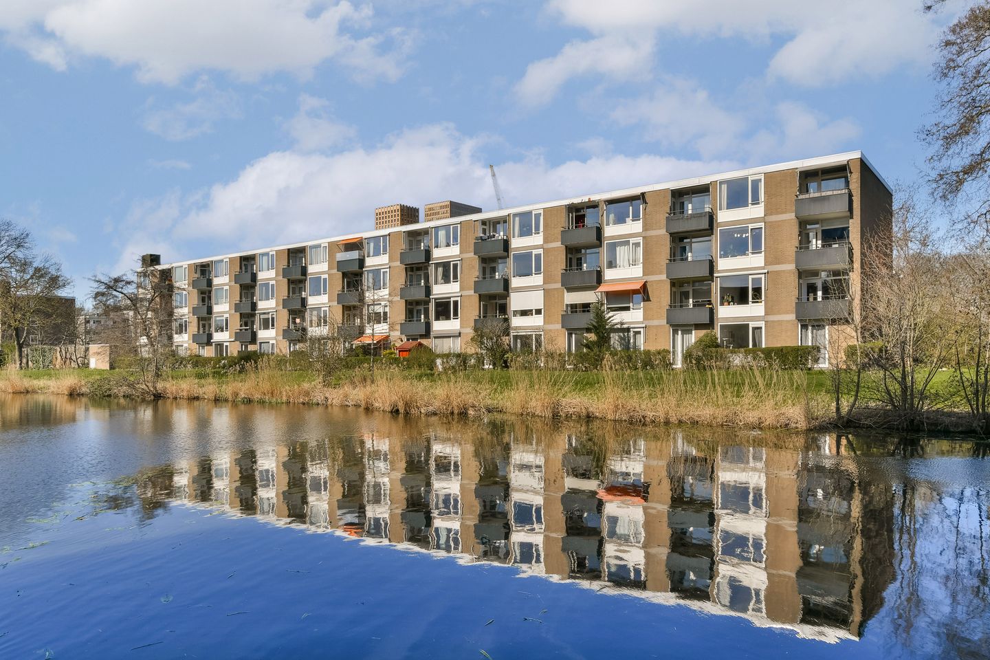 Photo 20 of Frieslandstraat 57