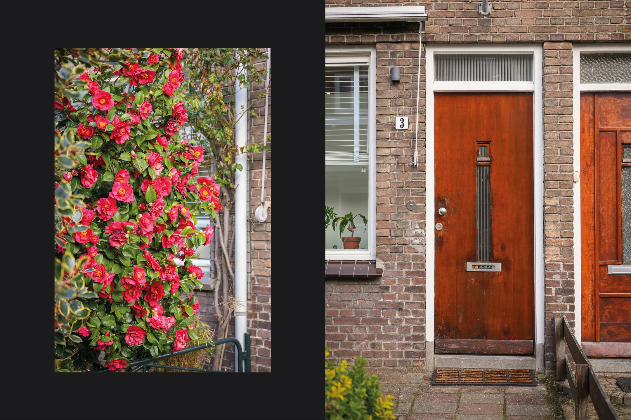 Photo 6 of Bosschastraat 3