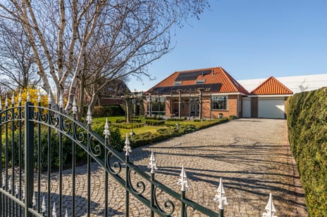 undefined main image