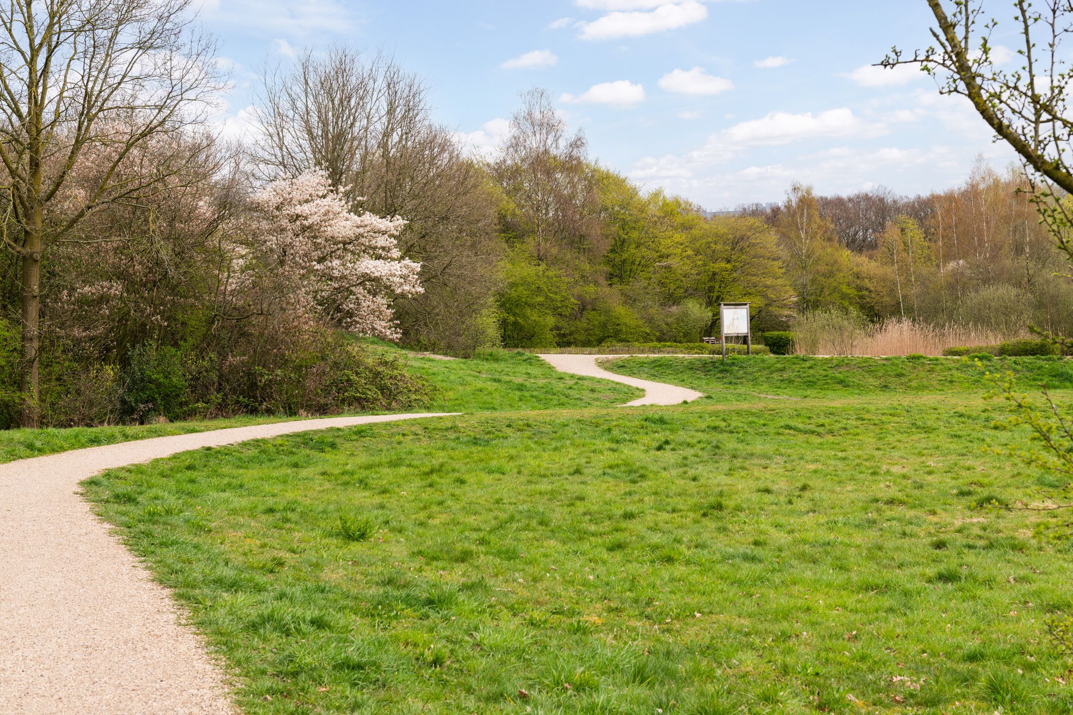 Foto 45 van Nijenheim 3148