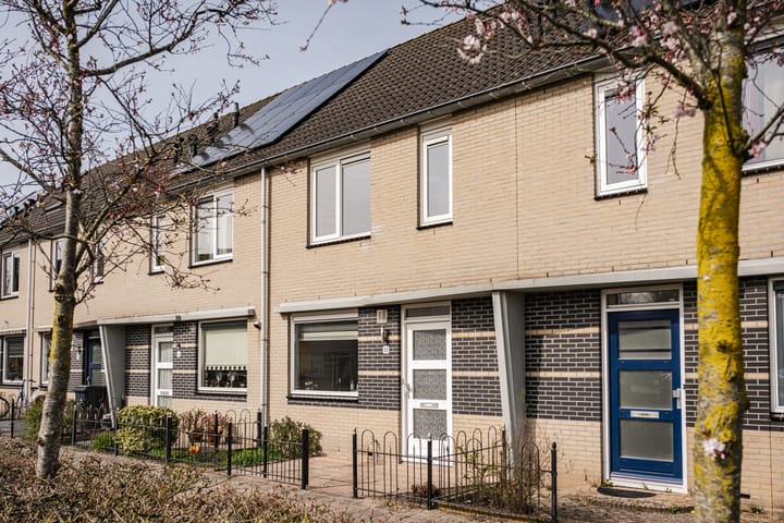 Alexander Polaplein 11 main image