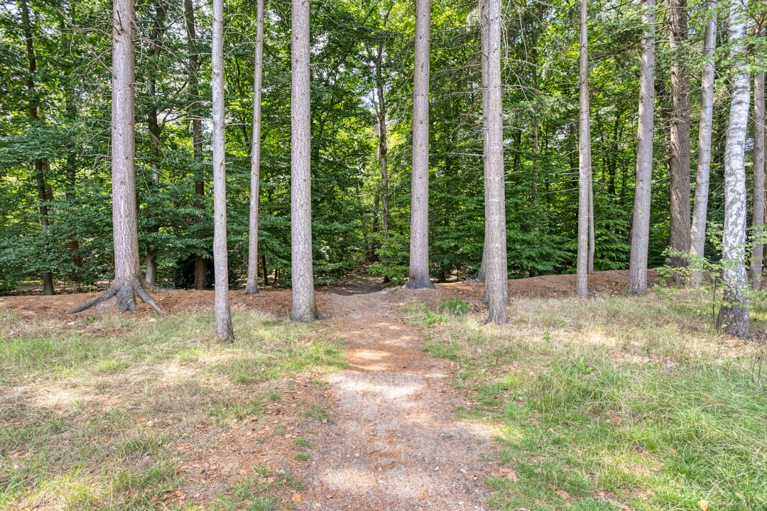 Energy-efficient corner home at the forest edge with five bedrooms and four floors — 46