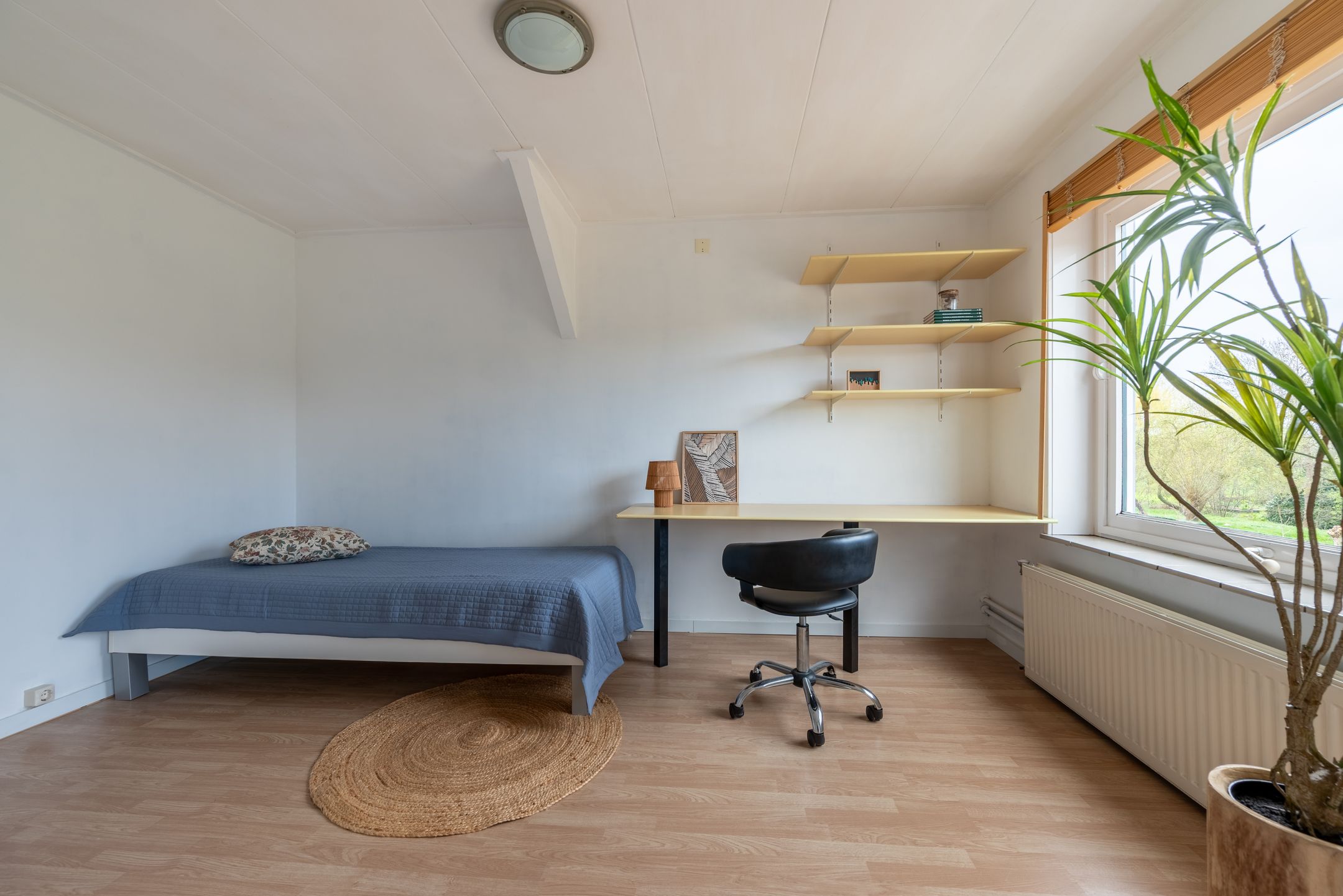 Foto 12 van Voordijk 4