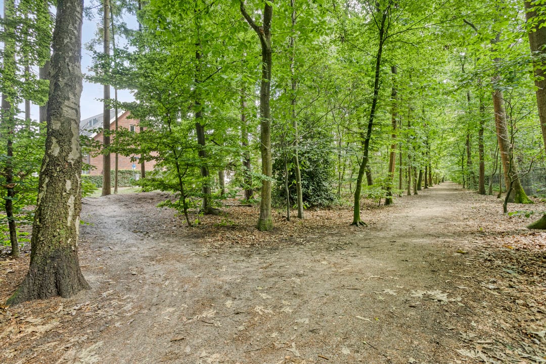 Energy-efficient corner home at the forest edge with five bedrooms and four floors — 47