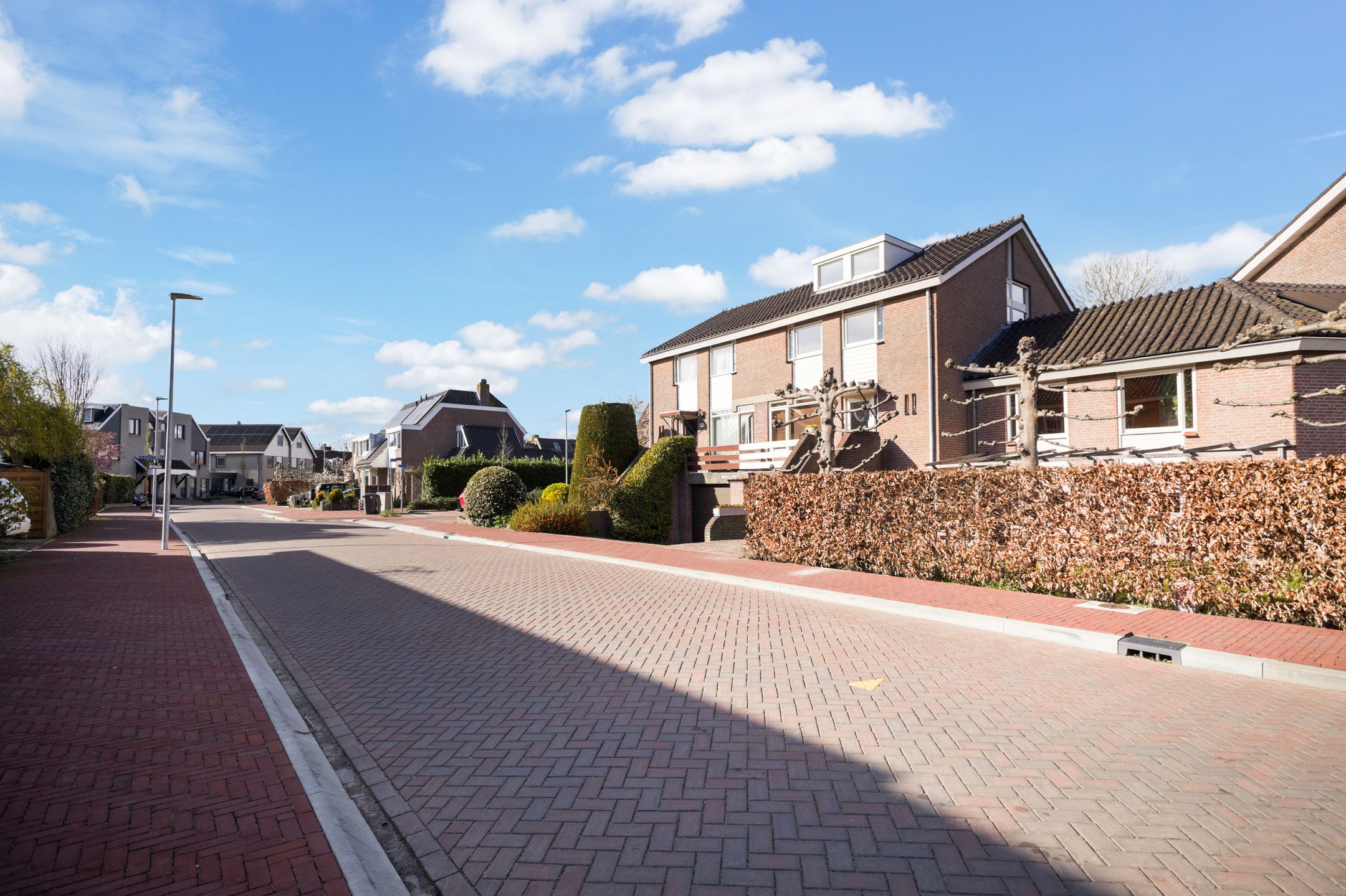 Foto 51 van de Zoom 24