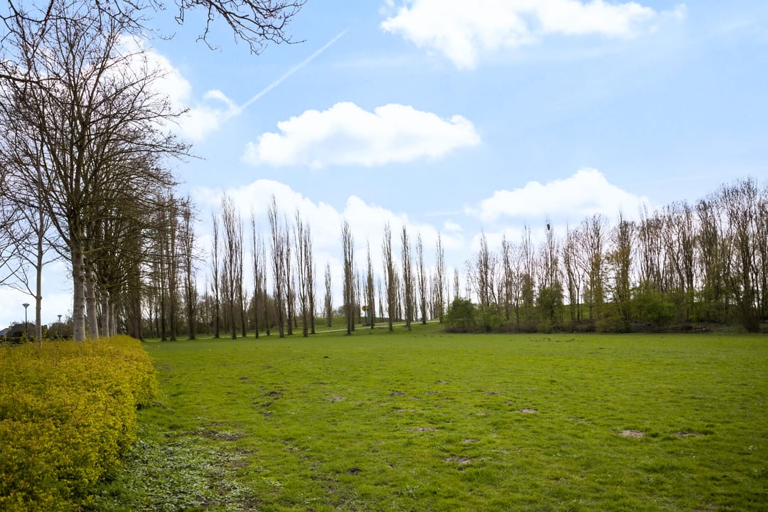 Foto 53 van de Zoom 24