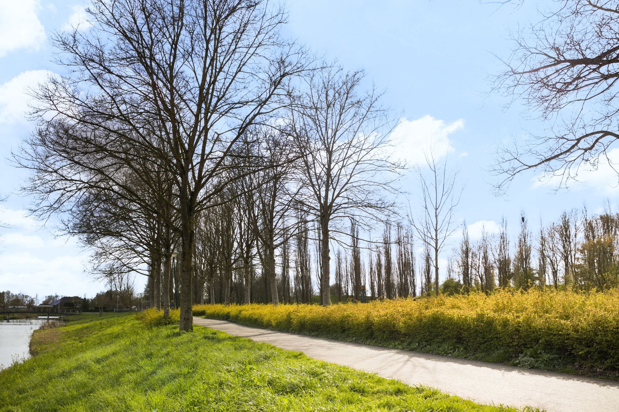 Foto 54 van de Zoom 24