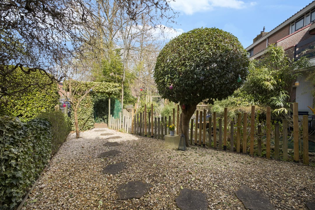 Foto 47 van de Zoom 24