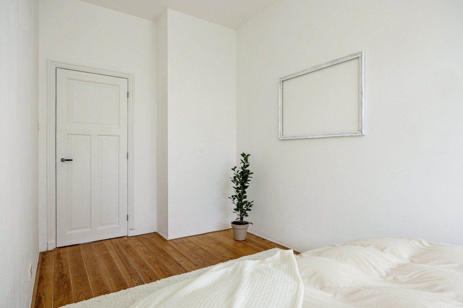 Photo 12 of Halleystraat 4