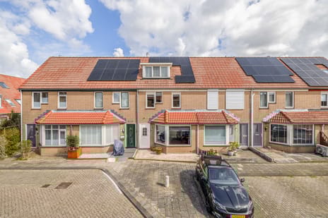 undefined main image