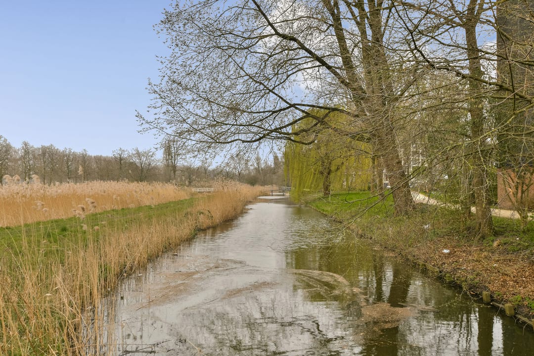 Foto 28 van Amerbos 463