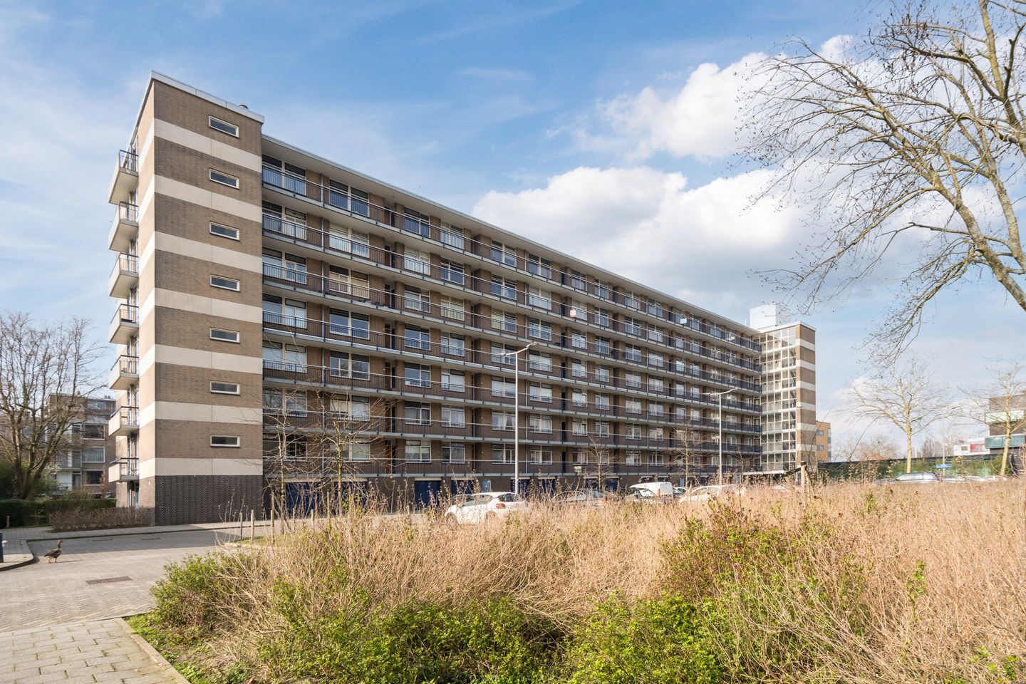 Photo 4 of Godijn van Dormaalstraat 32