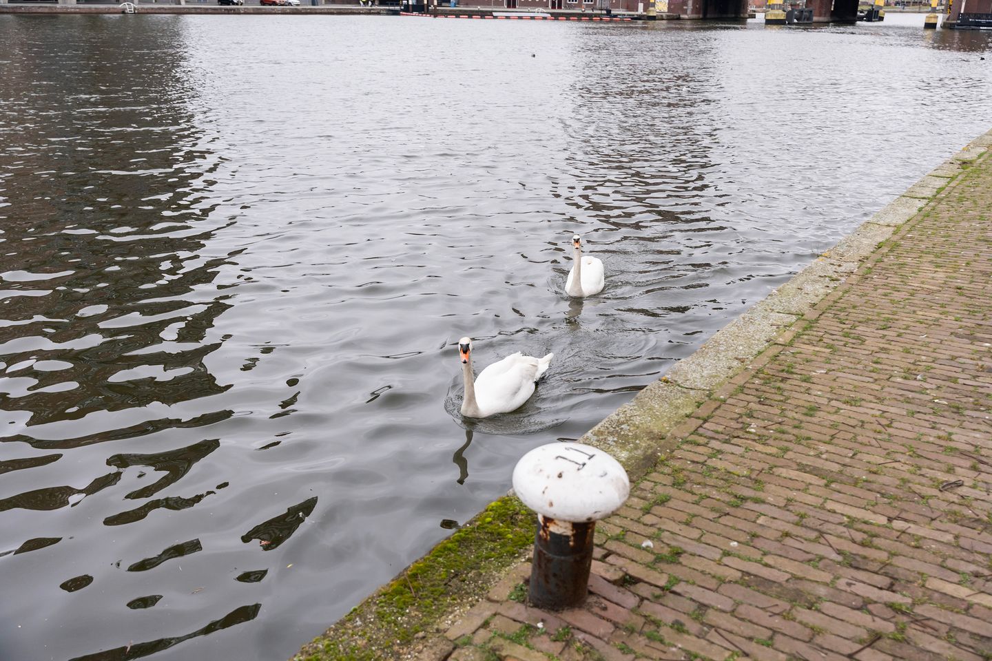 Foto 29 van Coolhaven 134-B