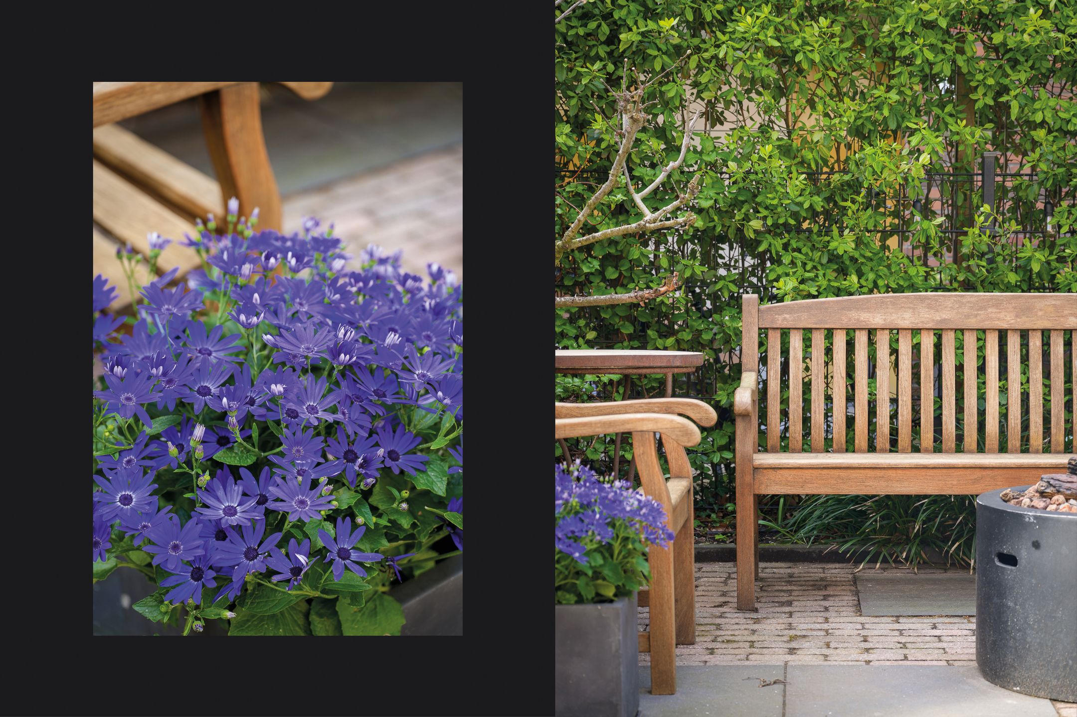 Photo 39 of Prof. Zonnebloemlaan 14