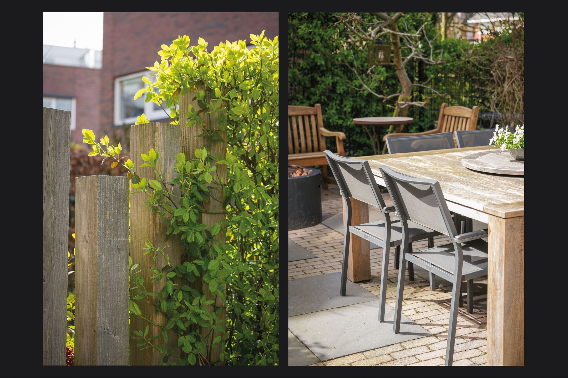 Photo 42 of Prof. Zonnebloemlaan 14