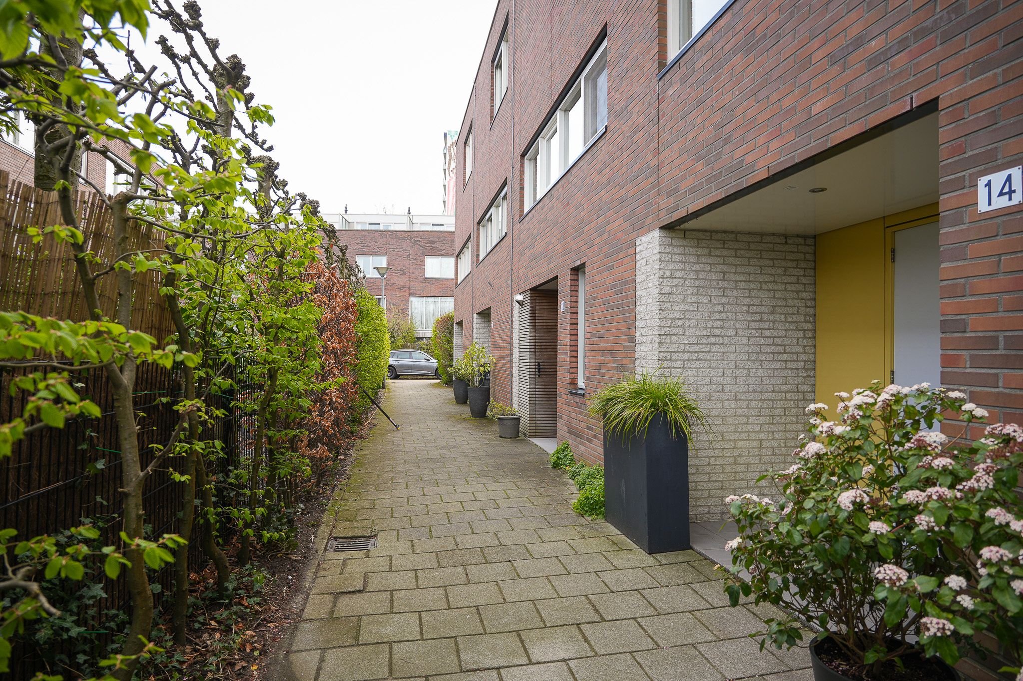 Photo 45 of Prof. Zonnebloemlaan 14