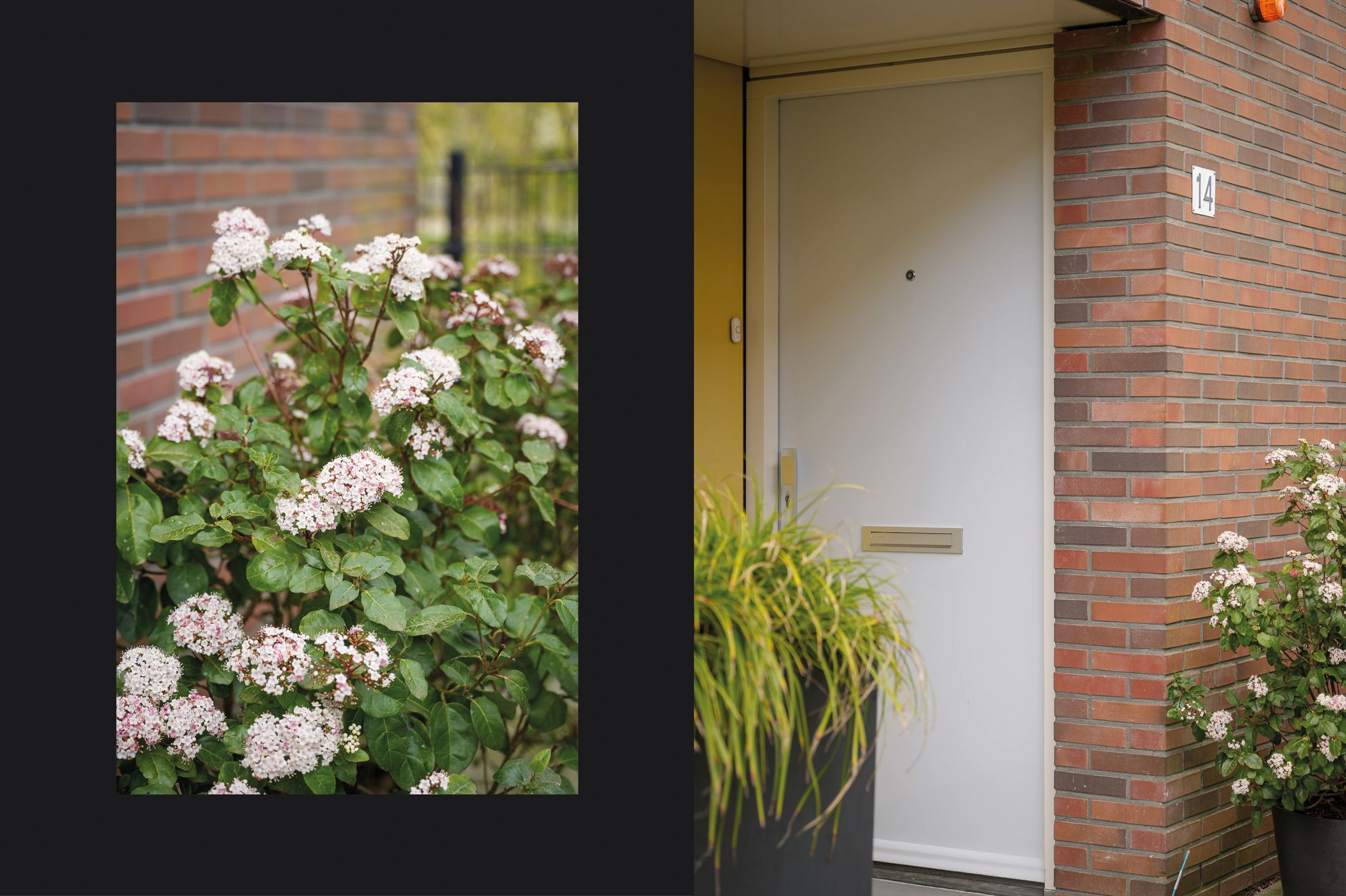 Photo 6 of Prof. Zonnebloemlaan 14