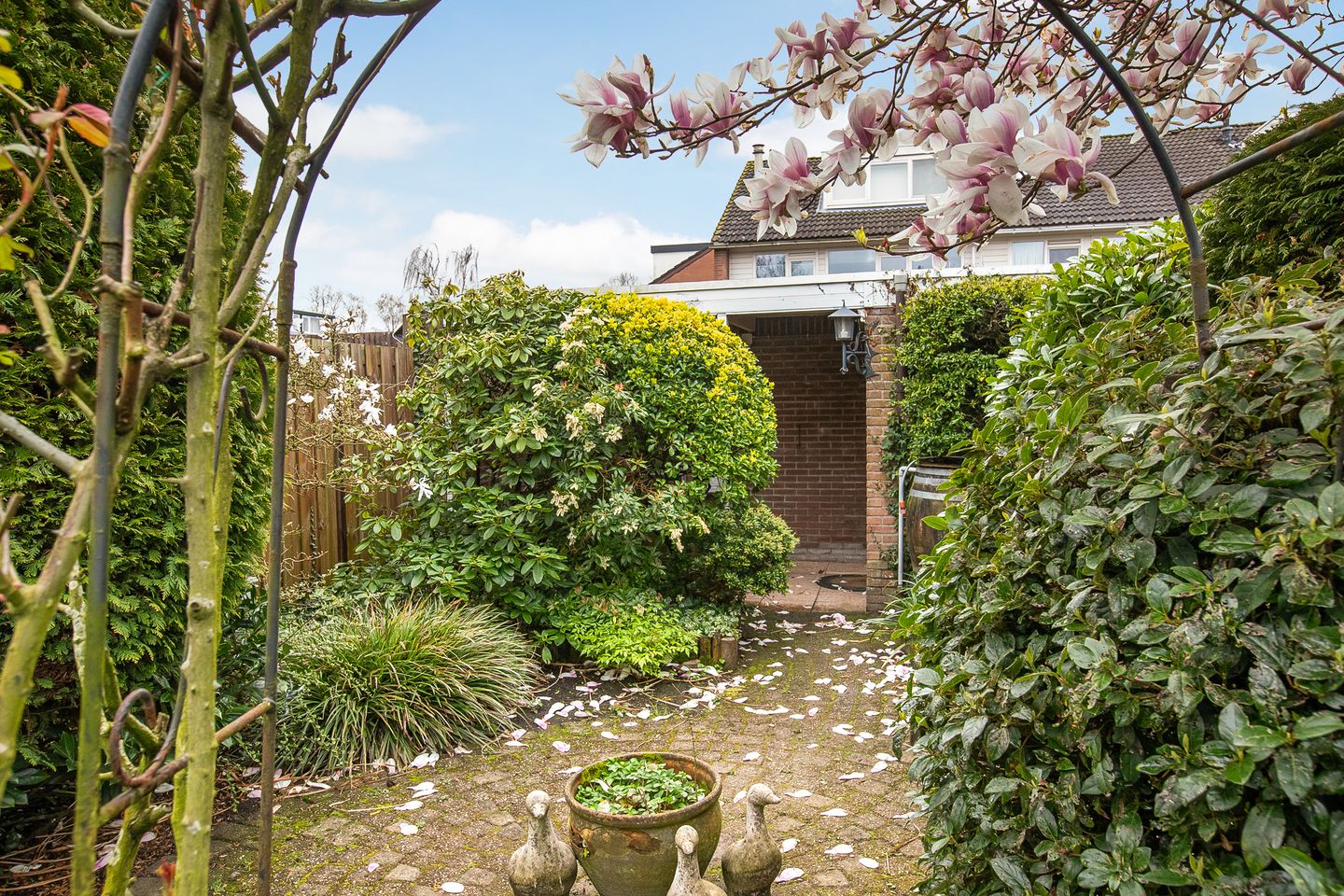 Foto 34 van Schweitzerstraat 164