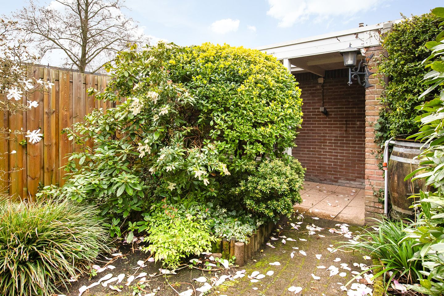 Foto 35 van Schweitzerstraat 164