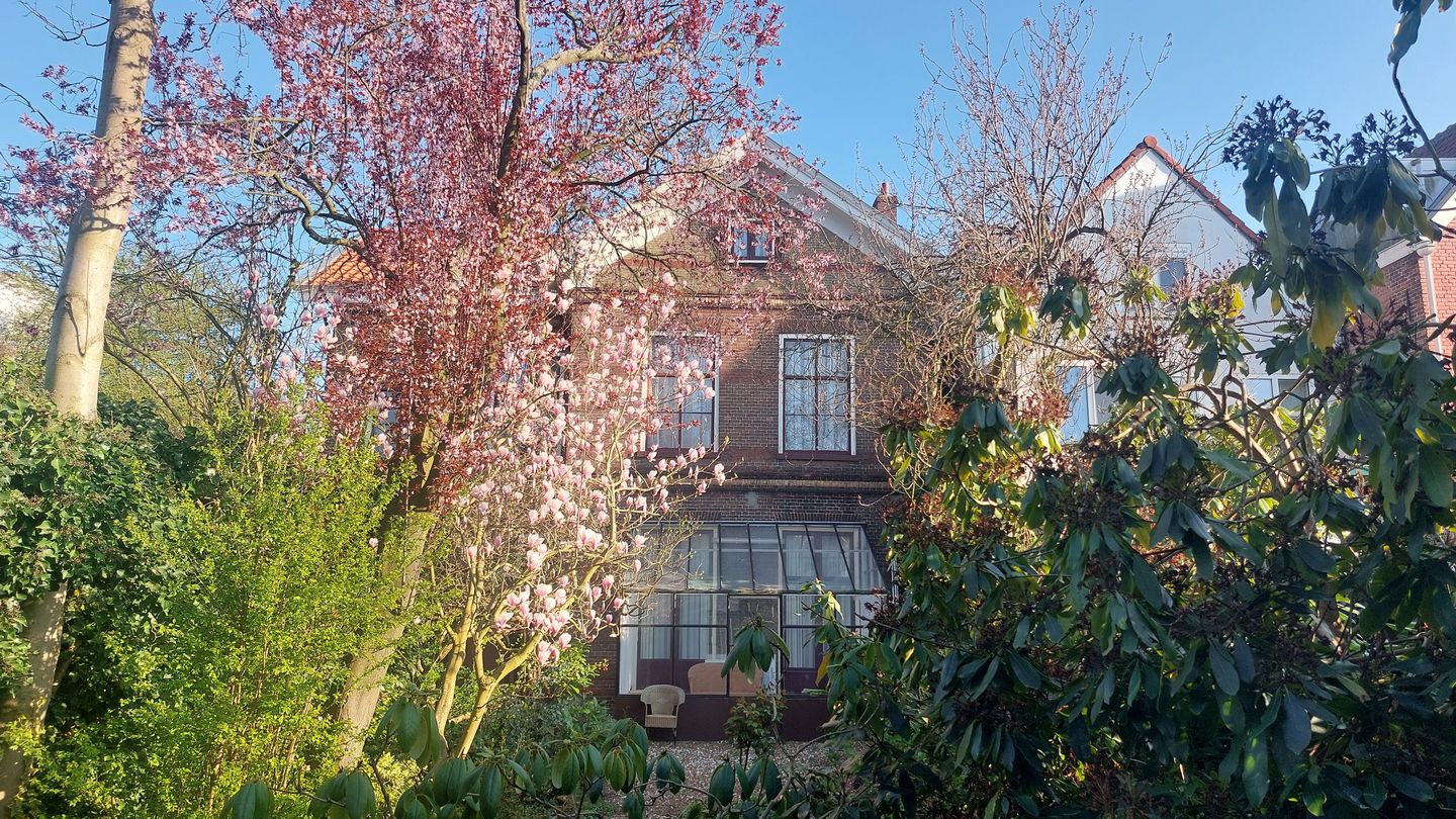 Bekijk foto 2 van Raamstraat 16