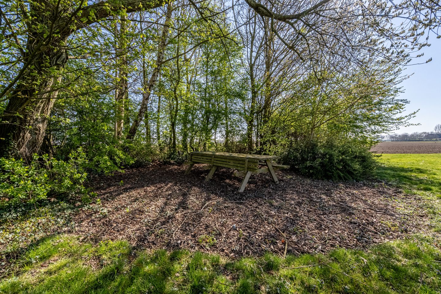 Photo 74 of Schenkeldijk 123