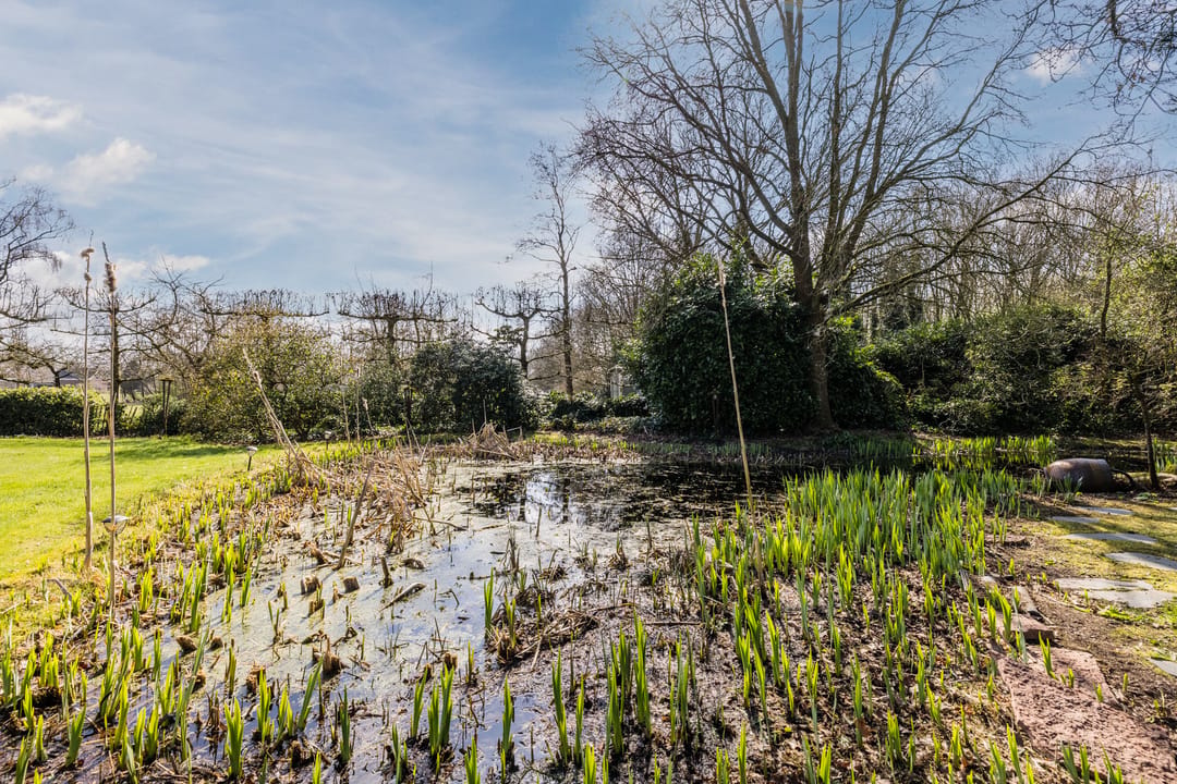 Photo 67 of Ruinerweg 39