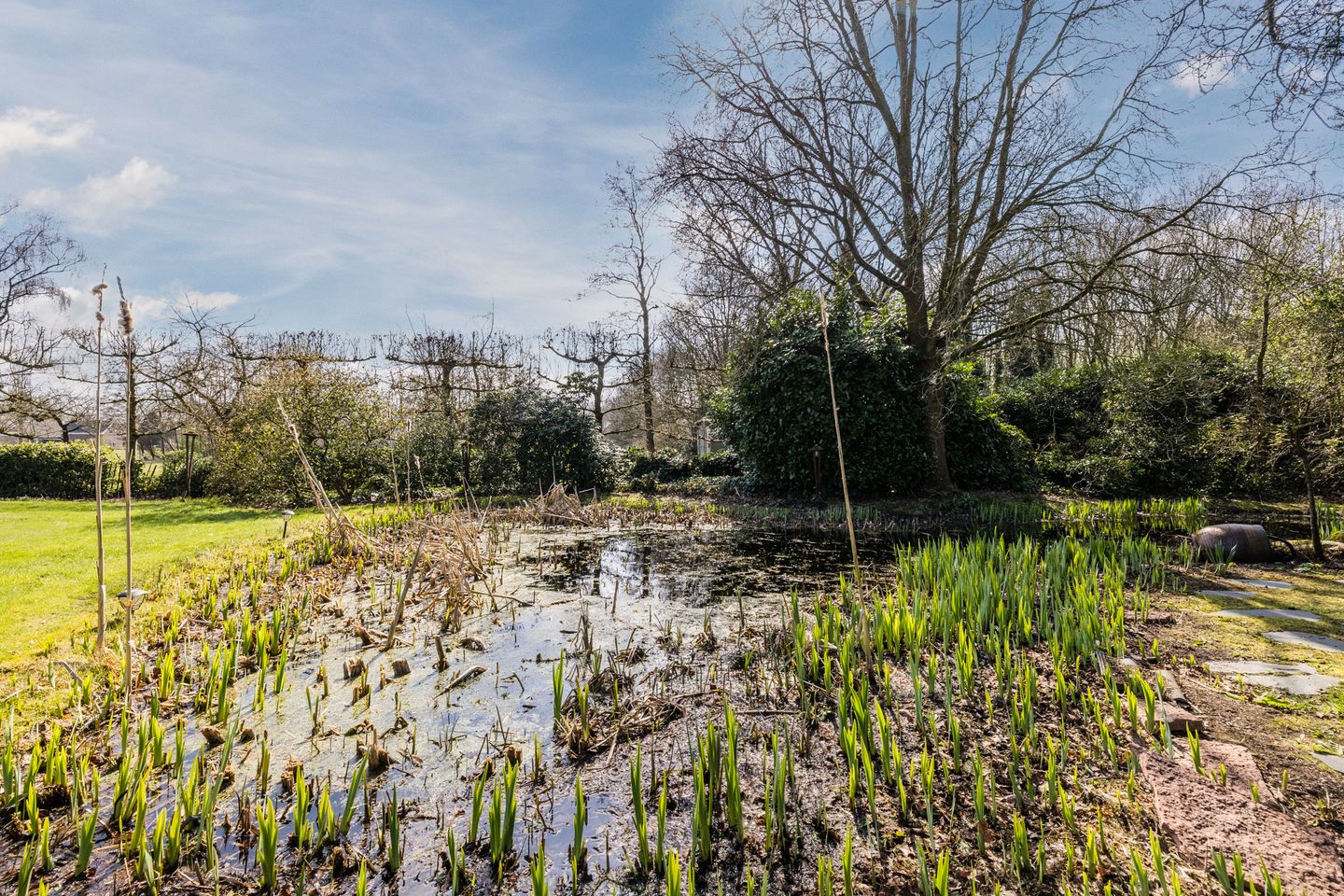 Thatched Farmhouse with Private Forest, Pool and Pond in Koekange — 64