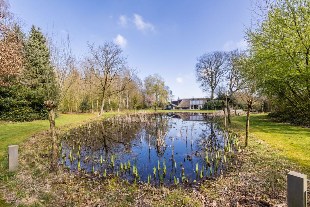 Thatched Farmhouse with Private Forest, Pool and Pond in Koekange — 76