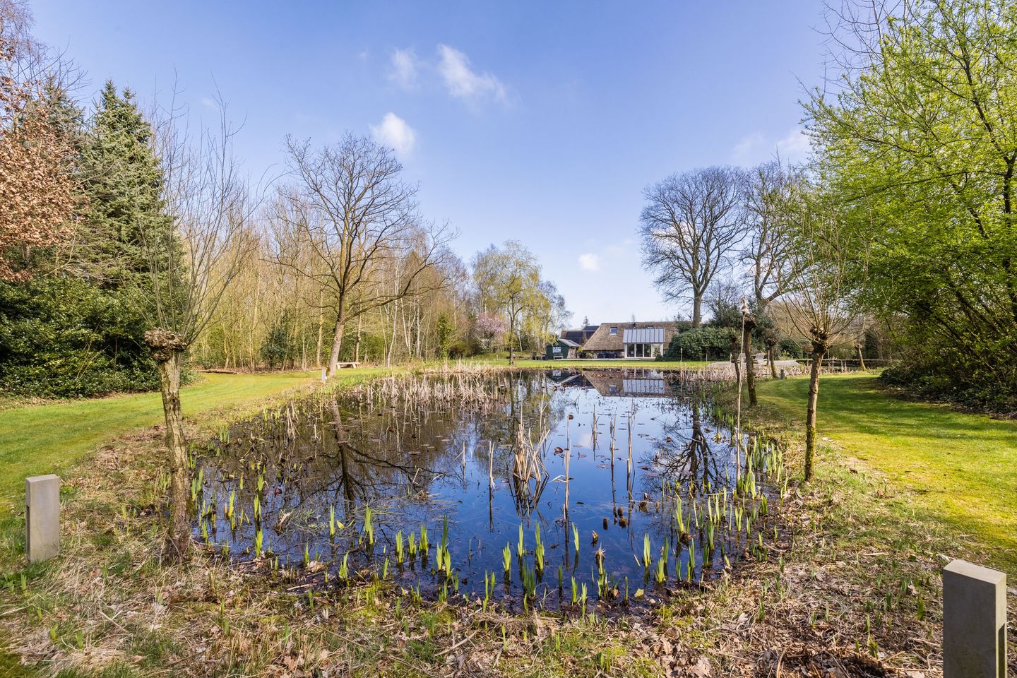 Photo 79 of Ruinerweg 39