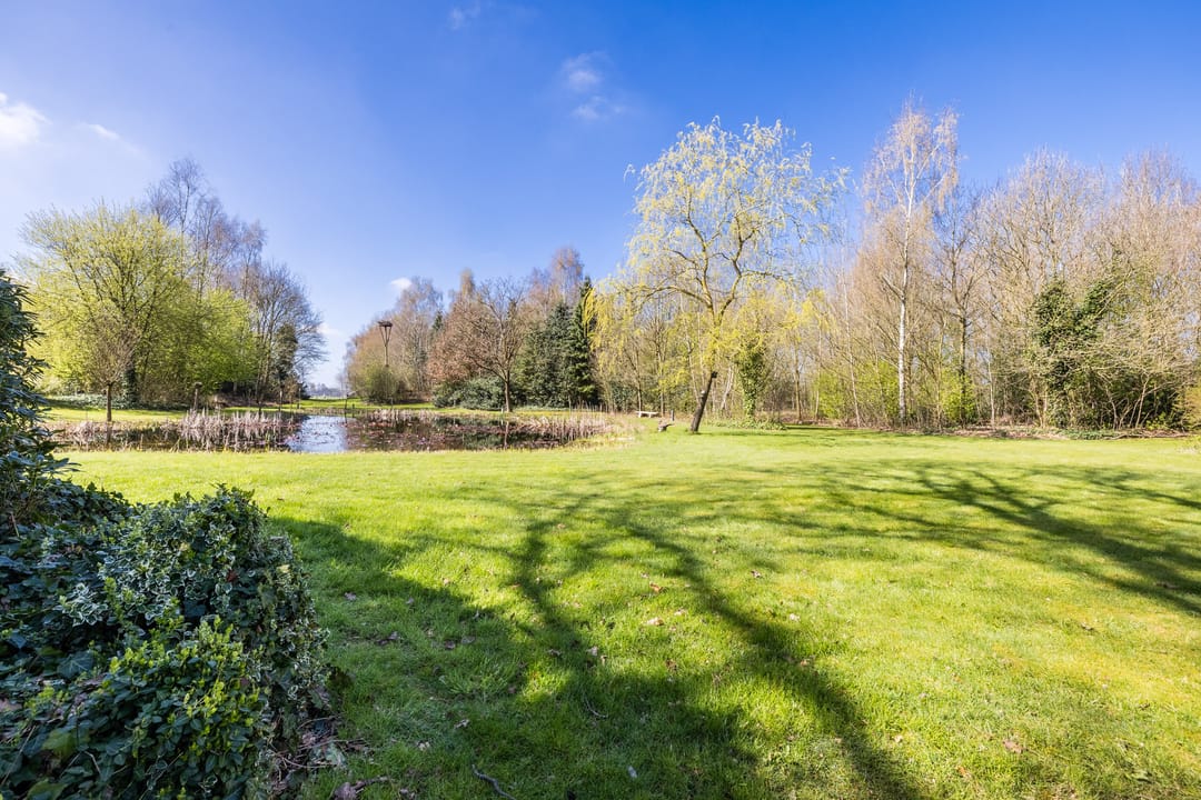 Thatched Farmhouse with Private Forest, Pool and Pond in Koekange — 67