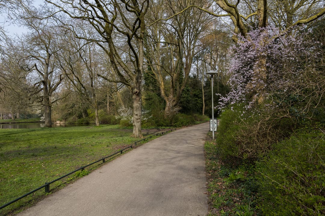 Photo 62 of Bartóklaan 60