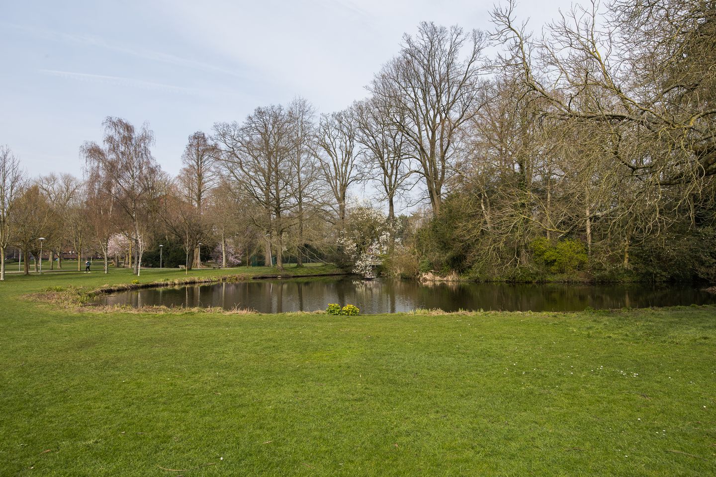 Photo 64 of Bartóklaan 60