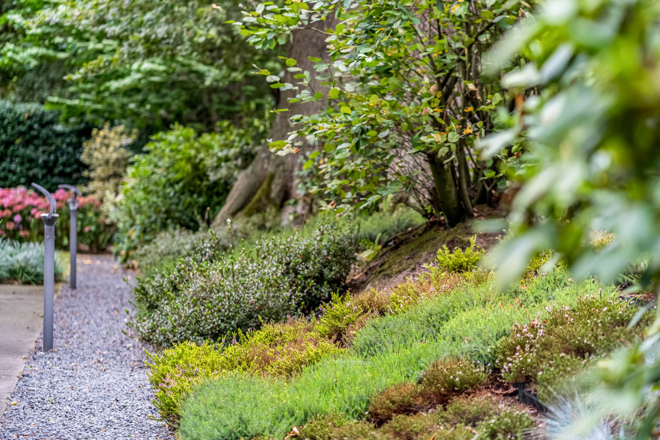 Photo 54 of Honskamperweg 66