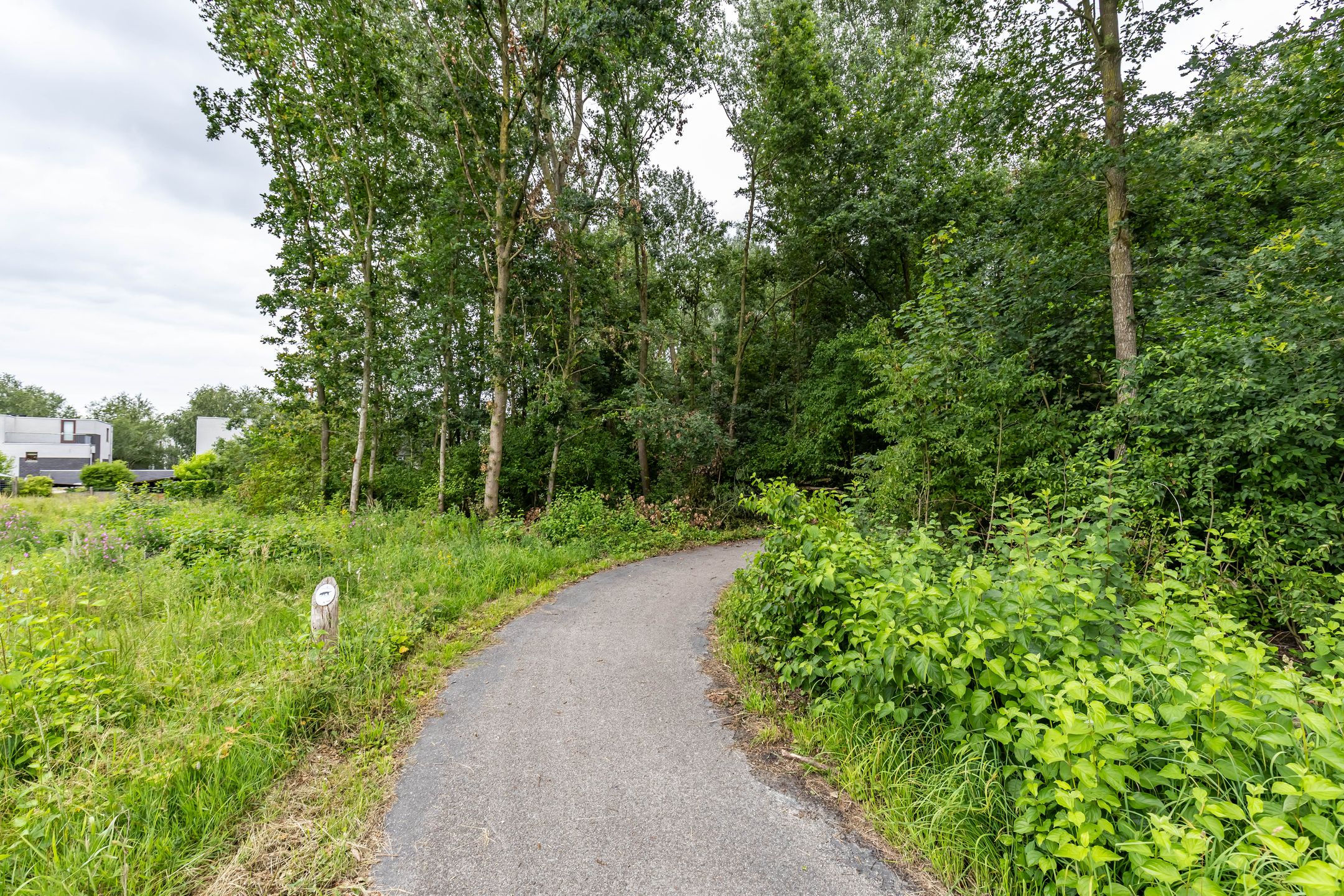 Foto 57 van Siersteenlaan 391