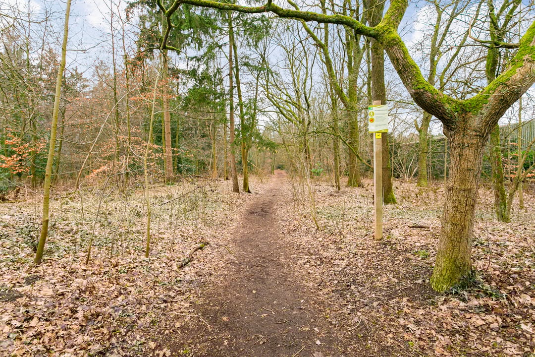 Foto 37 van De Beaufortweg 8