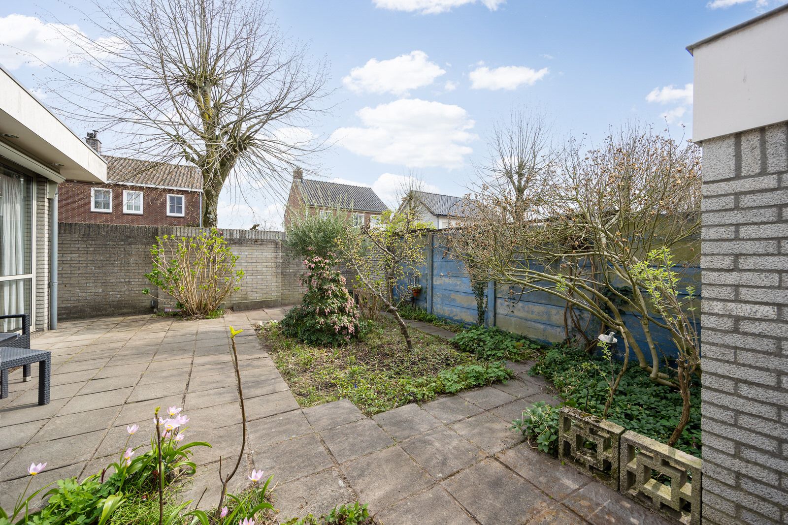 Photo 39 of Elisabeth Bas 1