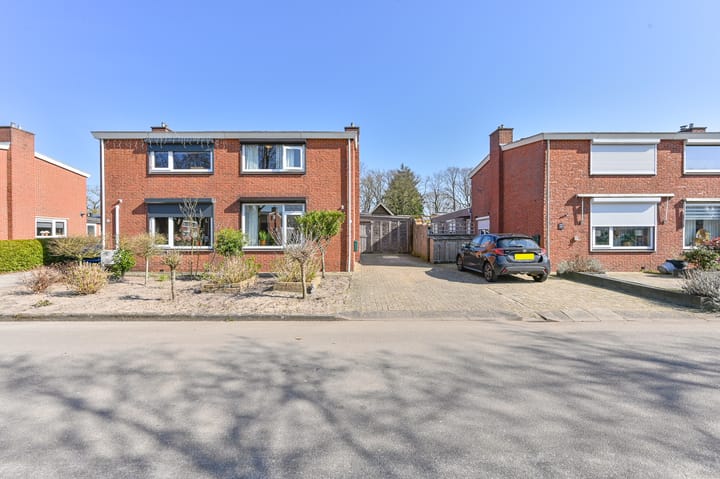 Boekweitveld 18 main image