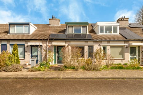 undefined main image