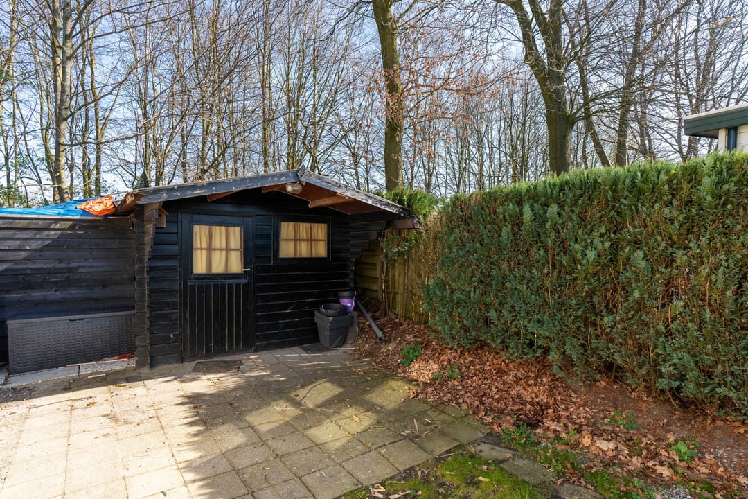 Photo 16 of Kievit 12-B597