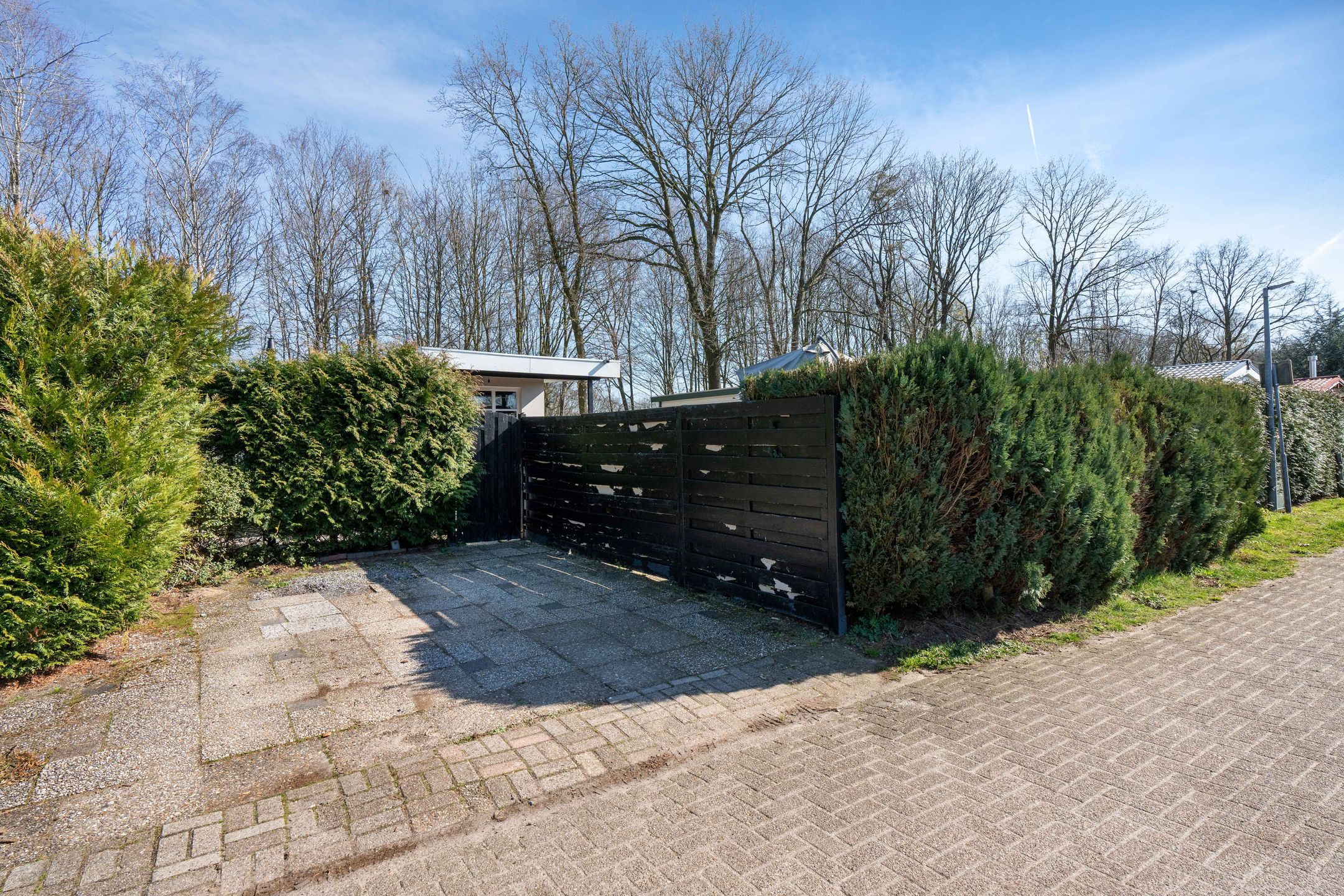 Photo 18 of Kievit 12-B597