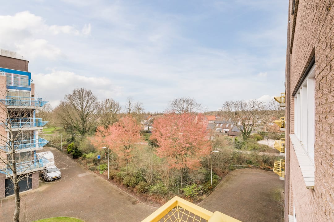 Photo 11 of De Maaier 117